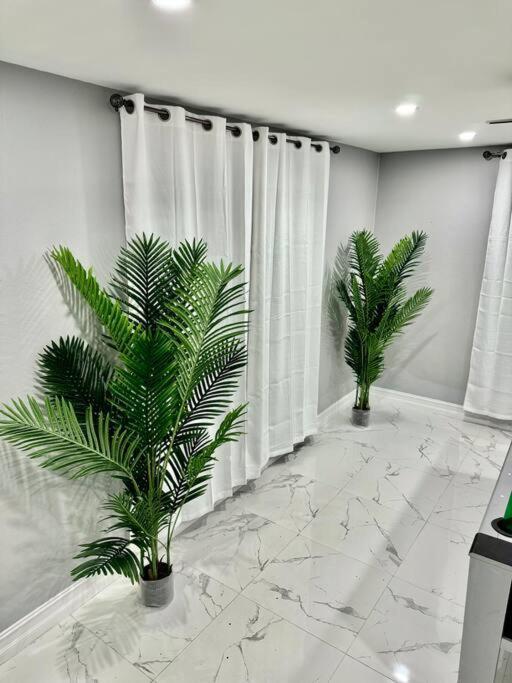 Island Haven Hideaway 5br Holiday home Nassau
